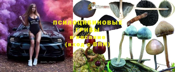 винт Абдулино